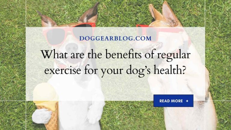 What are the benefits of regular exercise for your dog’s health?
