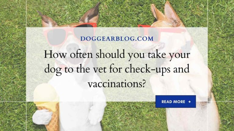 How often should you take your dog to the vet for check-ups and vaccinations?
