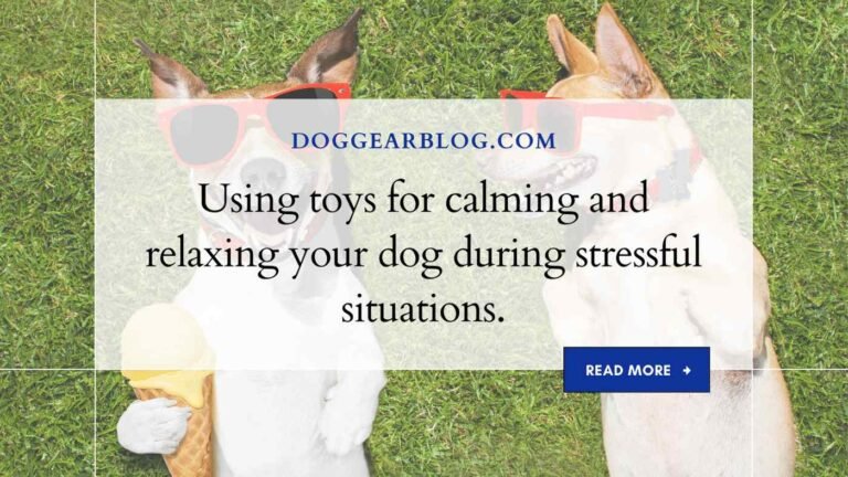 Using toys for calming and relaxing your dog during stressful situations.