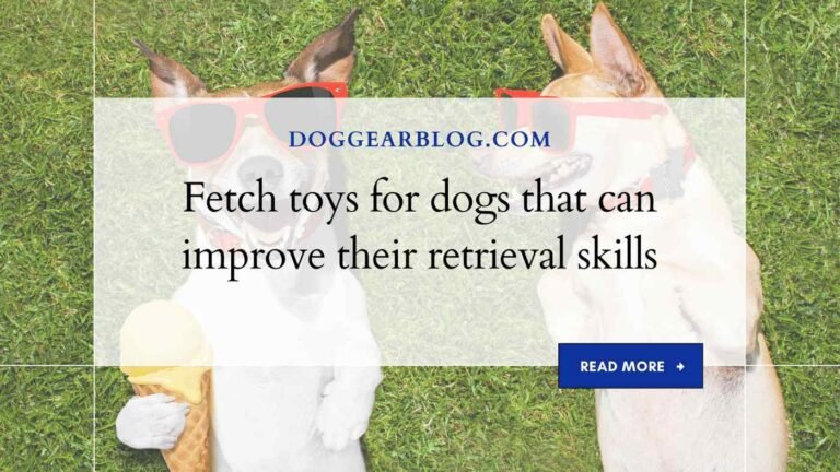 Fetch toys for dogs that can improve their retrieval skills