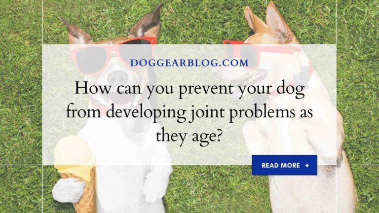 How can you prevent your dog from developing joint problems as they age?