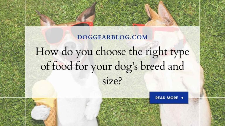 How do you choose the right type of food for your dog’s breed and size?