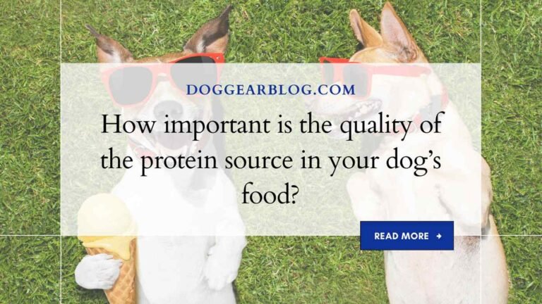 How important is the quality of the protein source in your dog’s food?