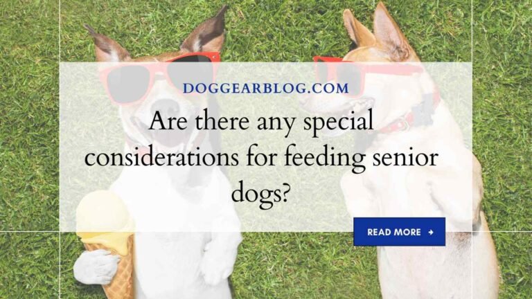 Are there any special considerations for feeding senior dogs?