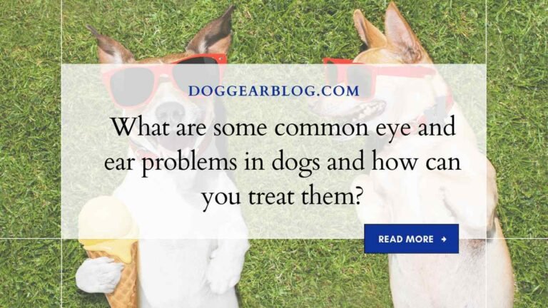 What are some common eye and ear problems in dogs and how can you treat them?