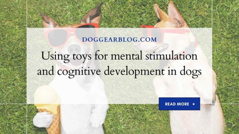 Using toys for mental stimulation and cognitive development in dogs