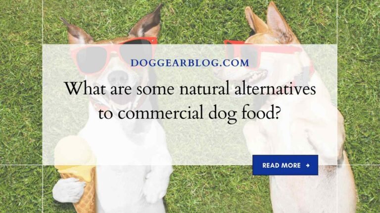 What are some natural alternatives to commercial dog food?