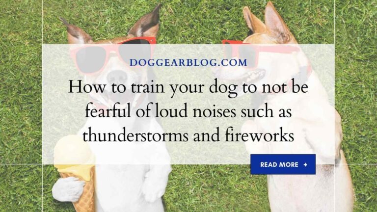 How to train your dog to not be fearful of loud noises such as thunderstorms and fireworks