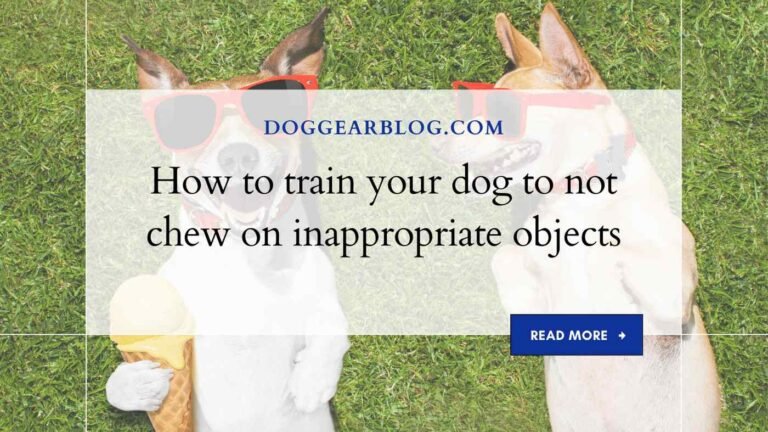 How to train your dog to not chew on inappropriate objects