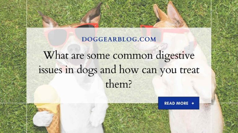 What are some common digestive issues in dogs and how can you treat them?
